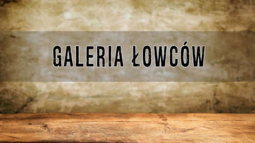 galeria_lowcow2
